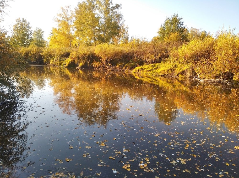Photograph by Людмила Фризен