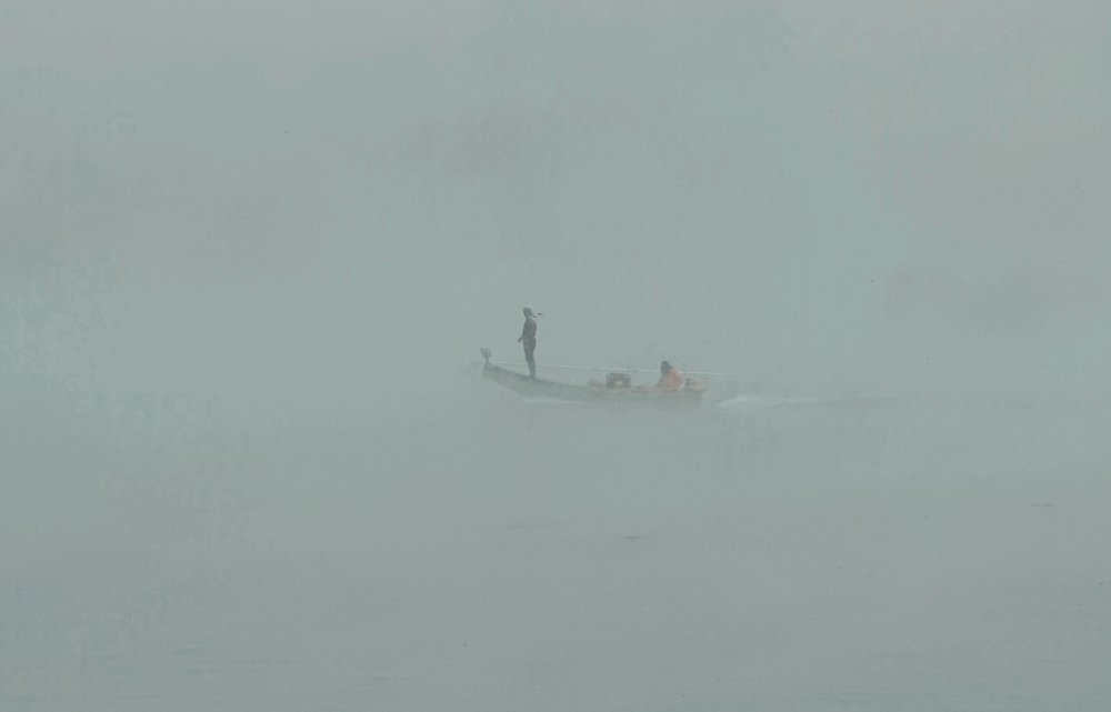 Fog hunters