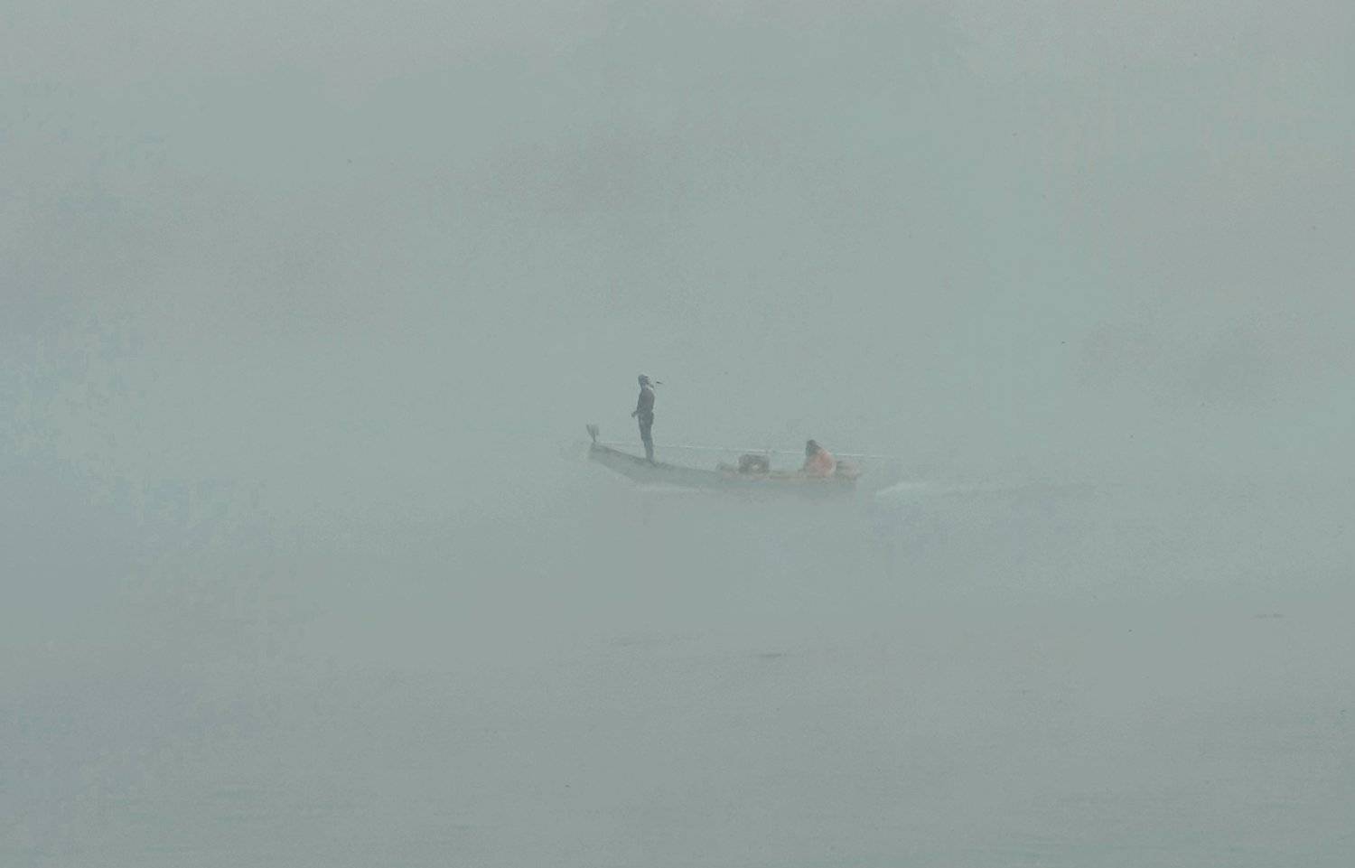 Fog hunters