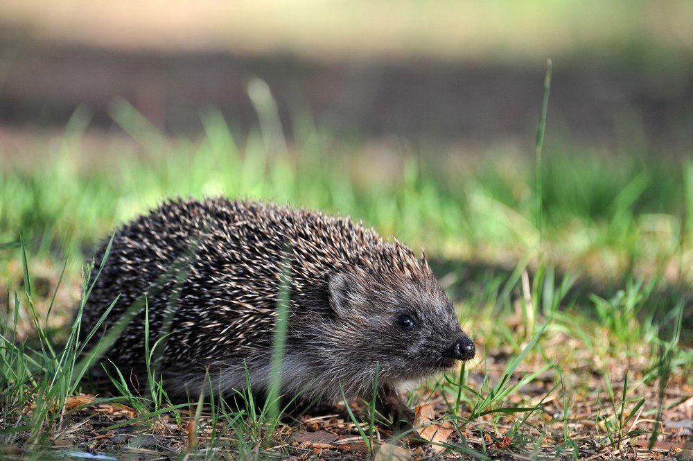Photograph by Юрий Яковлев