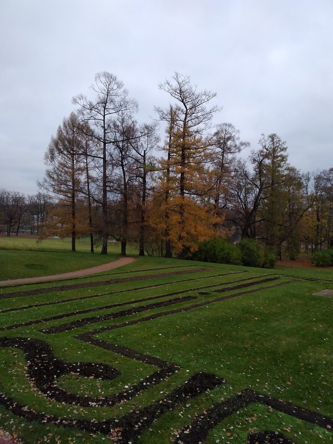 Photo #5256605