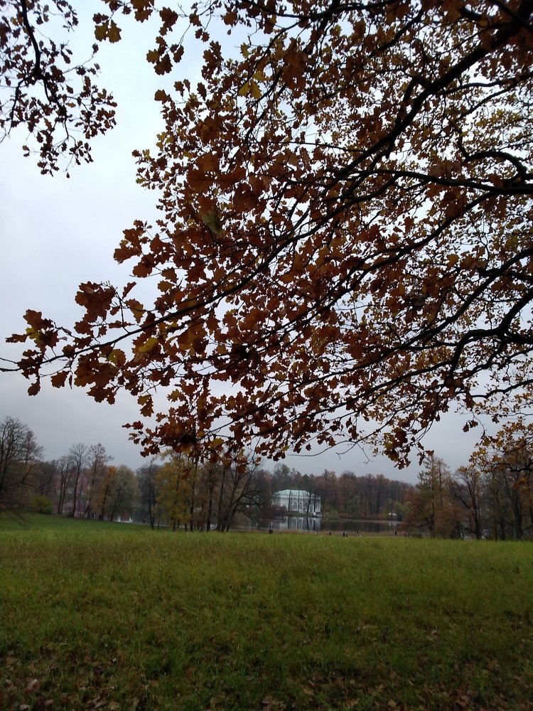 Photo #5256678