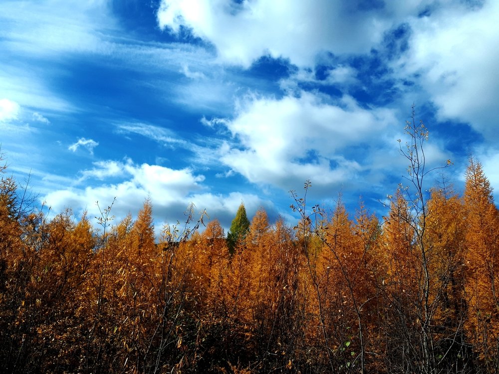 Photograph by Елена Беломестнова