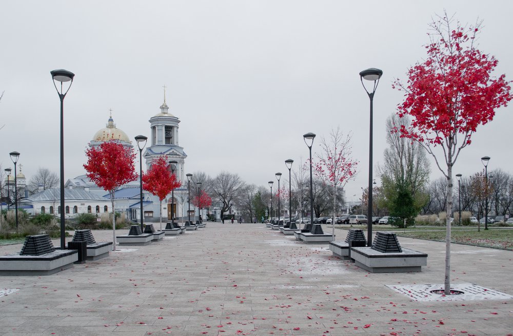 Photograph by Бугакова Ольга