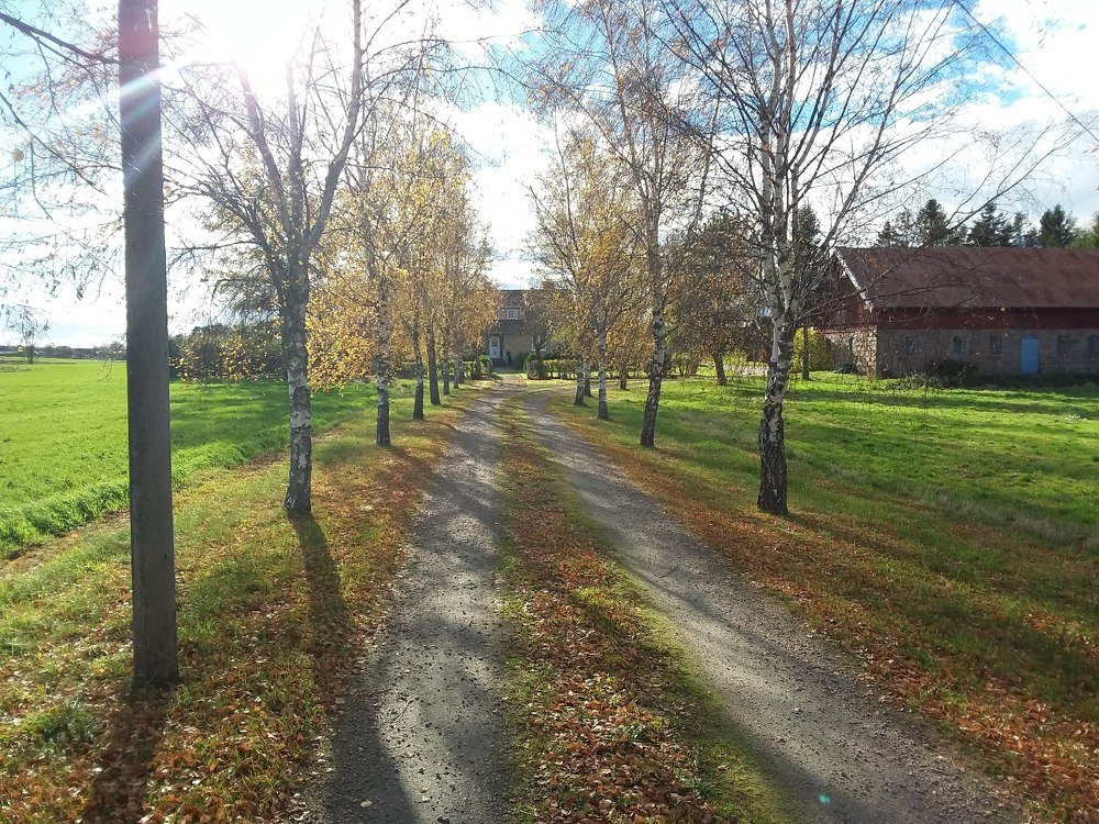 Photograph by Руслан Богатов