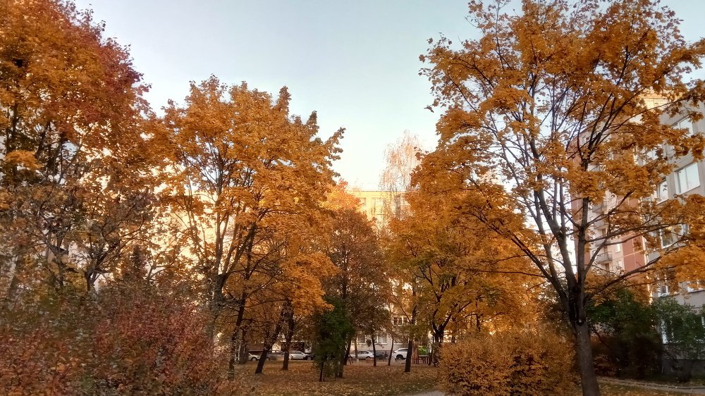 Photograph by Руслан Богатов