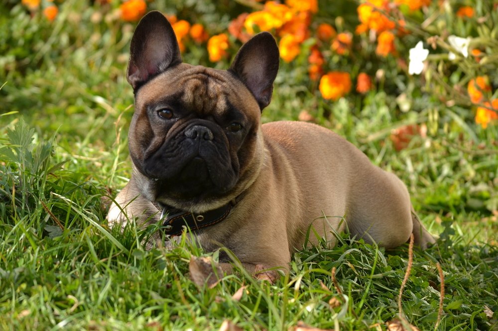 Фотография автора Алёна Мацюк