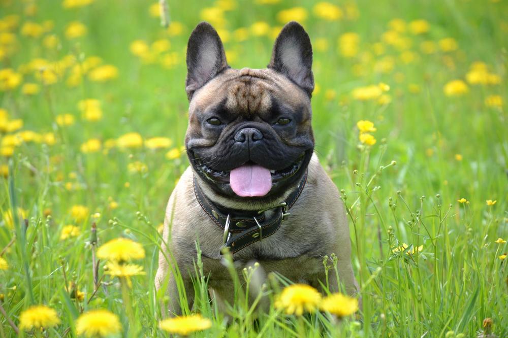 Фотография автора Алёна Мацюк