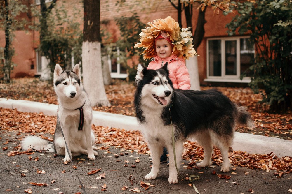 Фотография автора Виктория