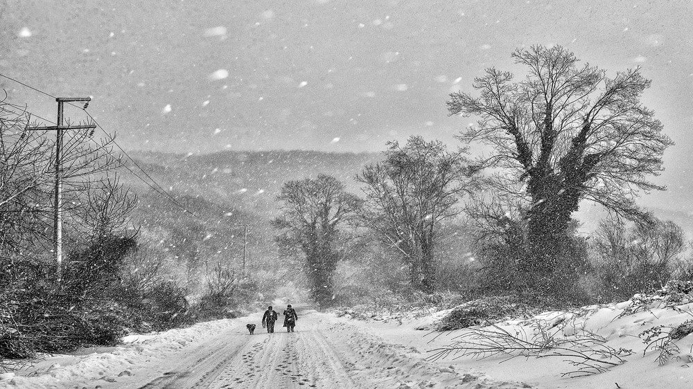 Photograph by Bekir Yesiltas