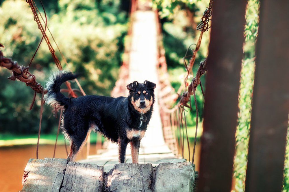 Photograph by Игорь Осипенко