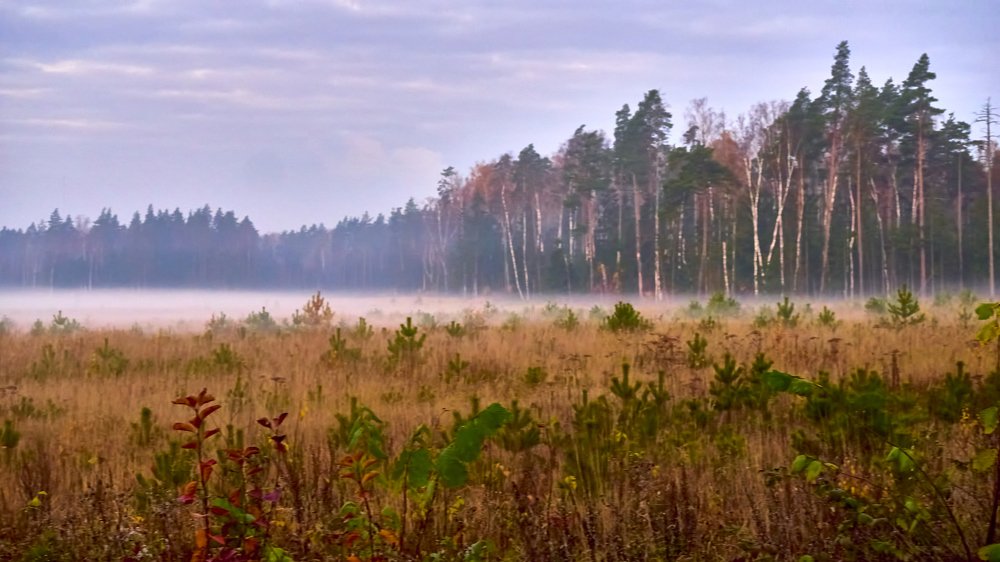 Photograph by Руслан Ибрагимов