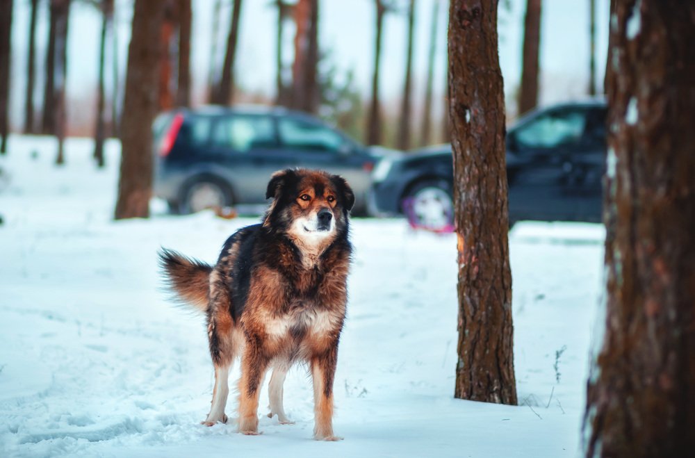 Photograph by Игорь Осипенко