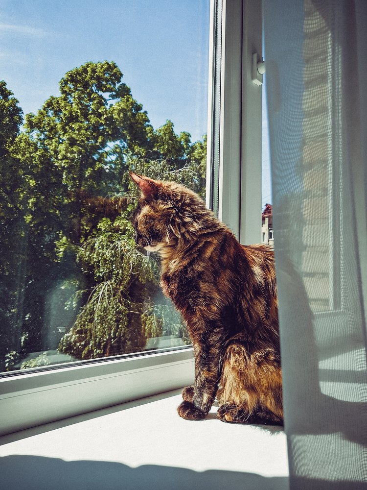 Photograph by Ольга Карцева