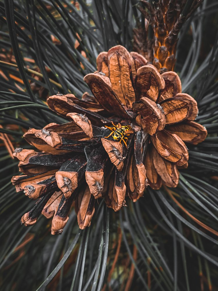 Остановка...