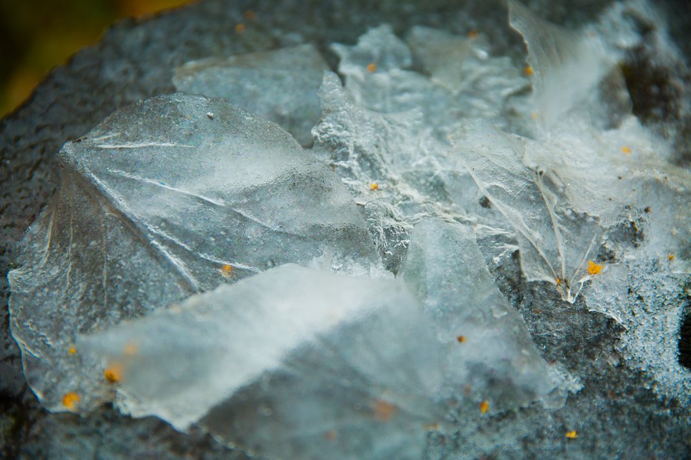 Photograph by Ира Солощ