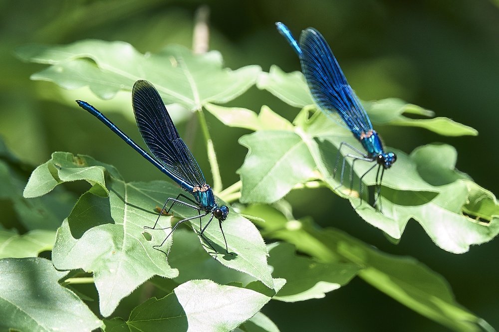 Photograph by Константин Шишкалов