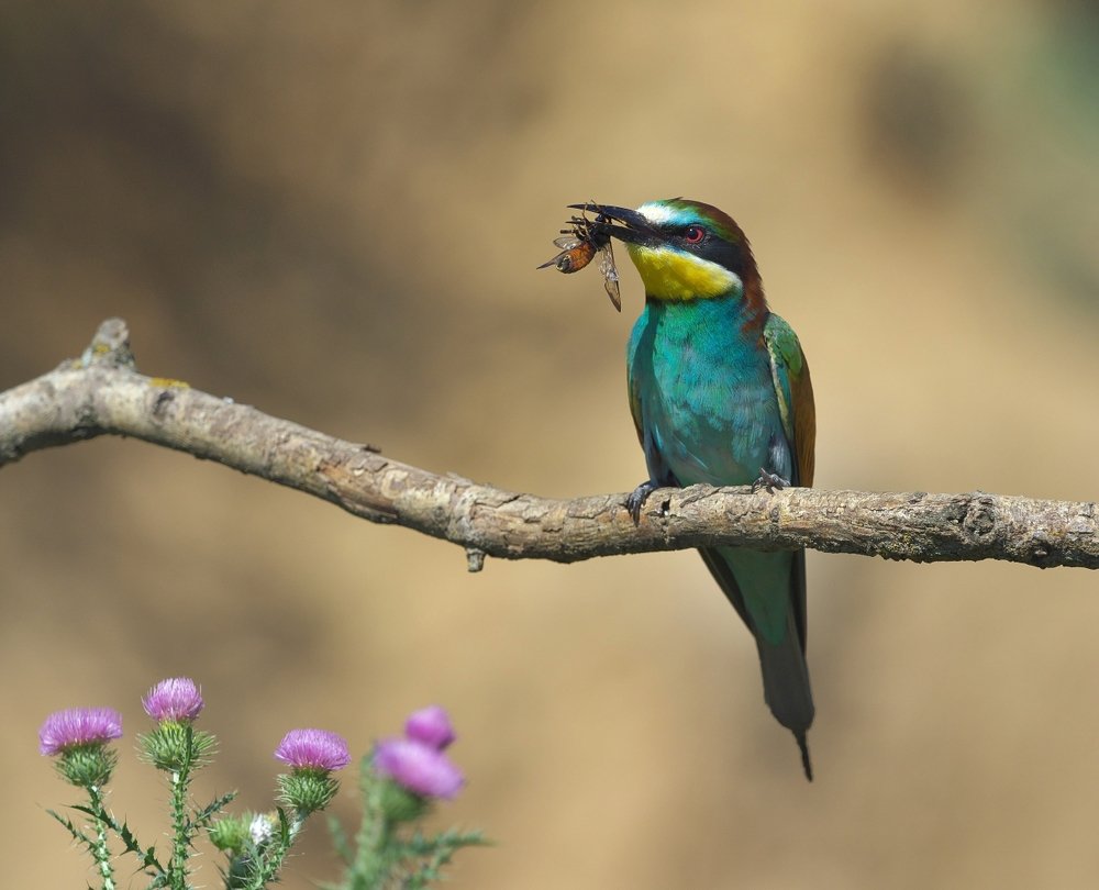 Photograph by Олег Есиков