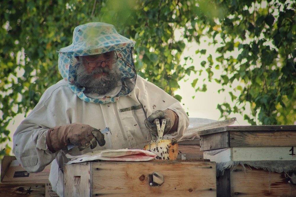 Photograph by Наталья Горбачева