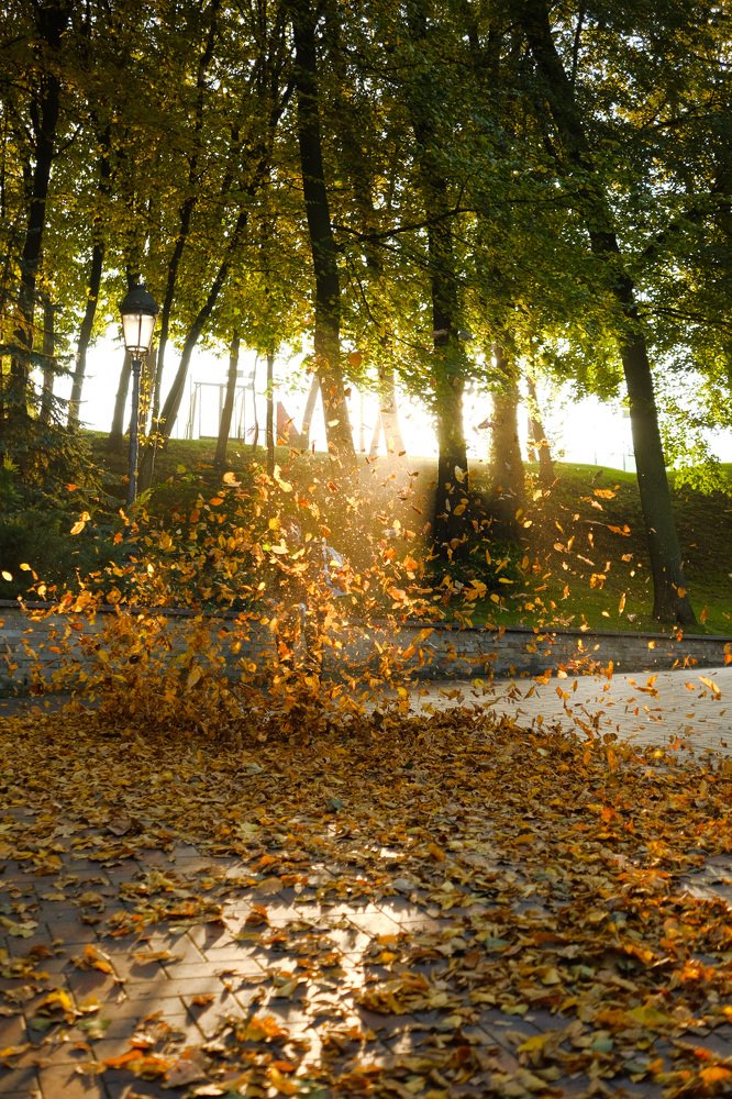 Photograph by Роберт Поляк