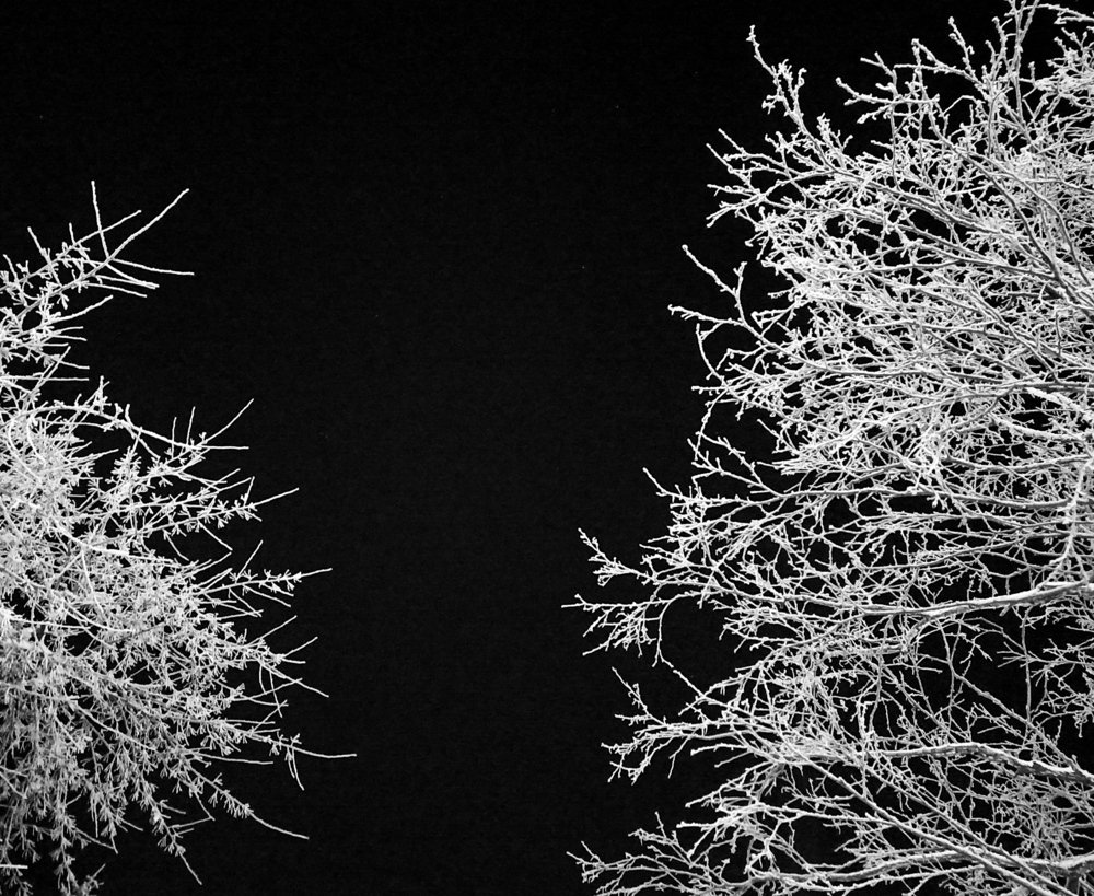 Photograph by Ольга Ситникова