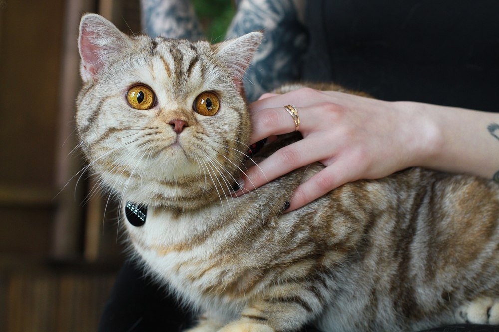 Photograph by Дмитрий Волков