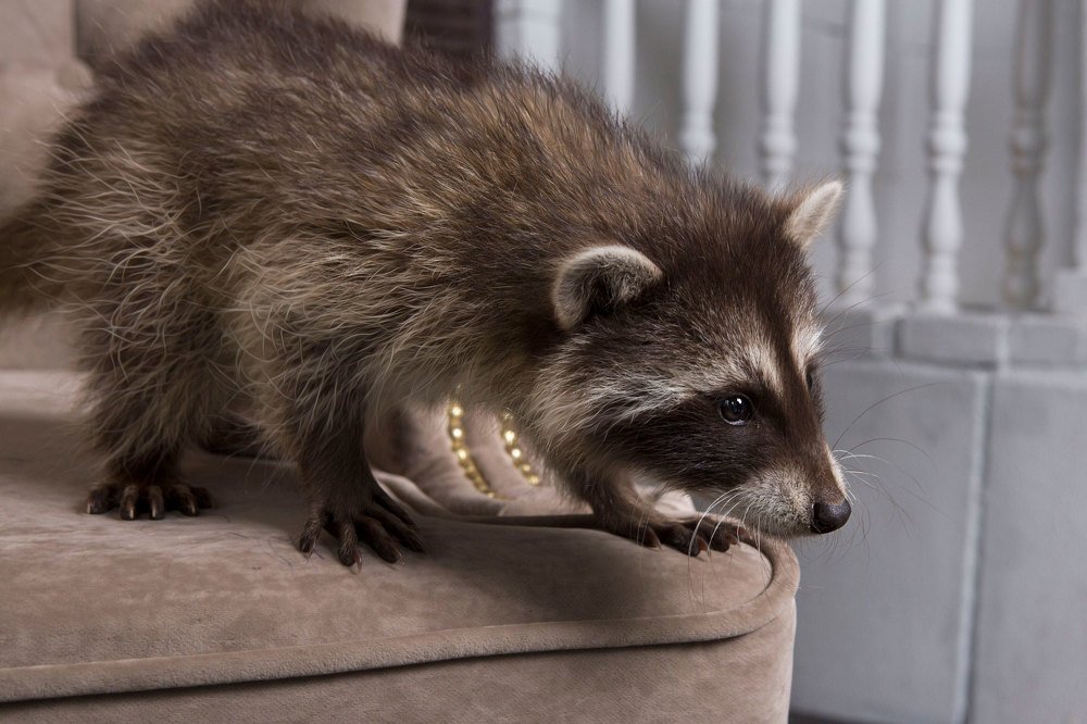 Photograph by Дмитрий Волков