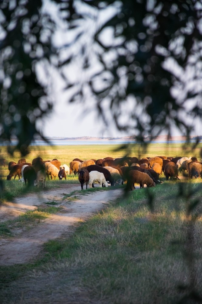Photograph by Анастасия Киселева