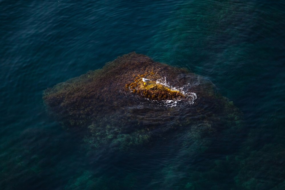 Фотография автора Мария Веселова