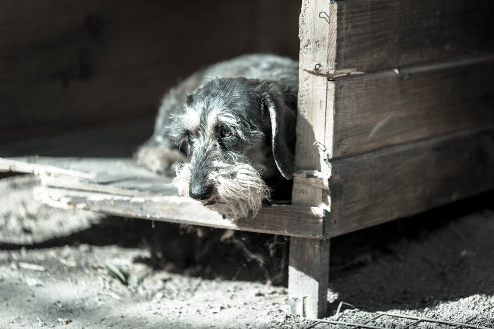 Фотография автора Gonzalo Garcia Favre
