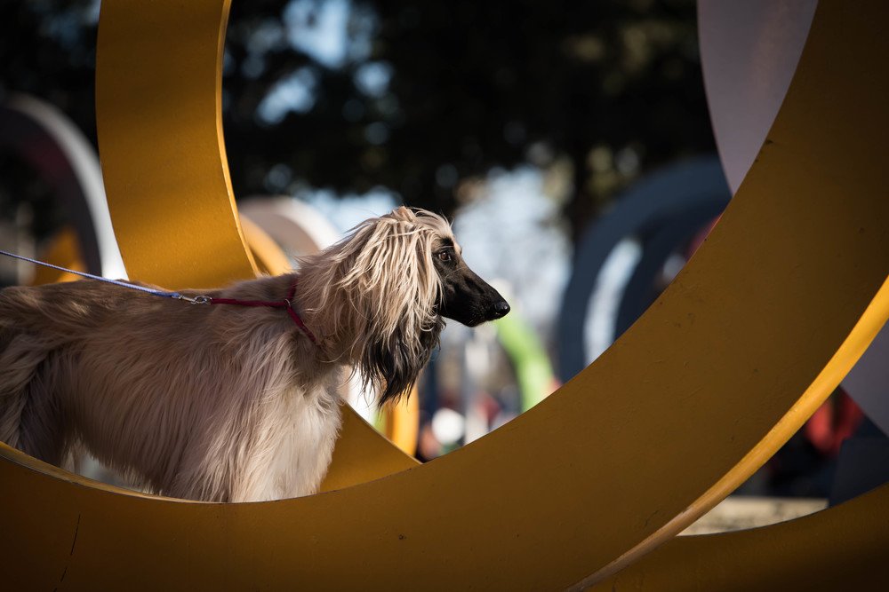 Фотография автора Gonzalo Garcia Favre