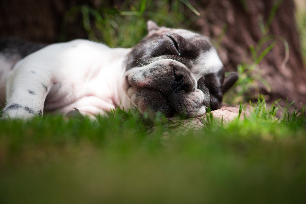 Фотография автора Gonzalo Garcia Favre