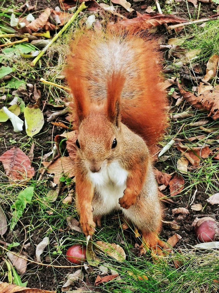 Photograph by Андрей Тур