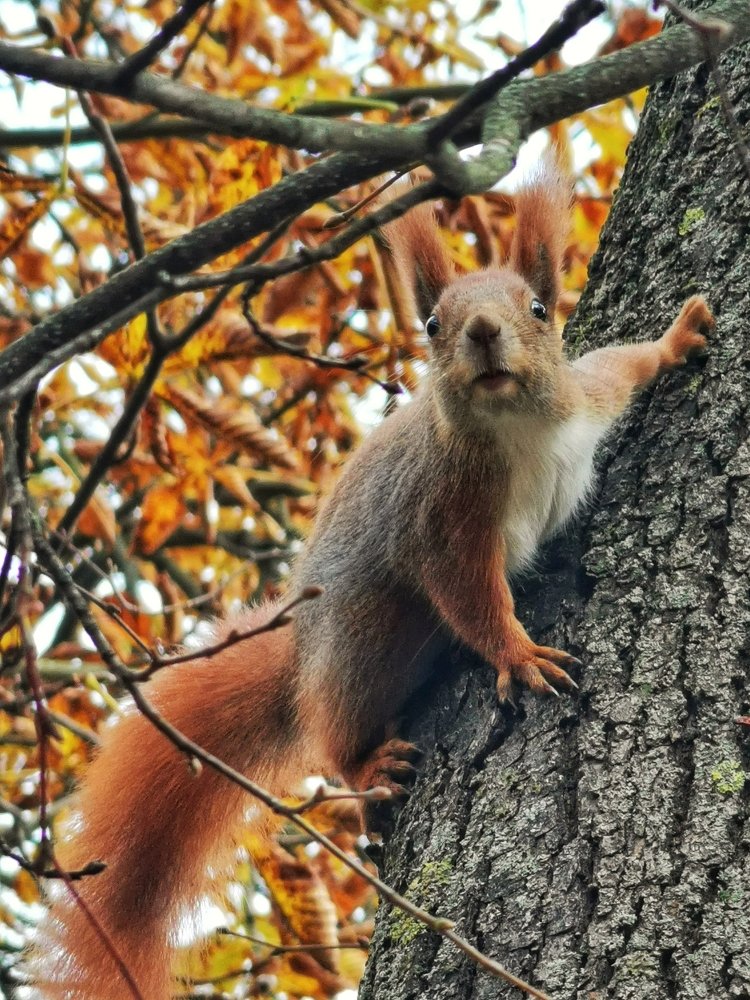 Photograph by Андрей Тур