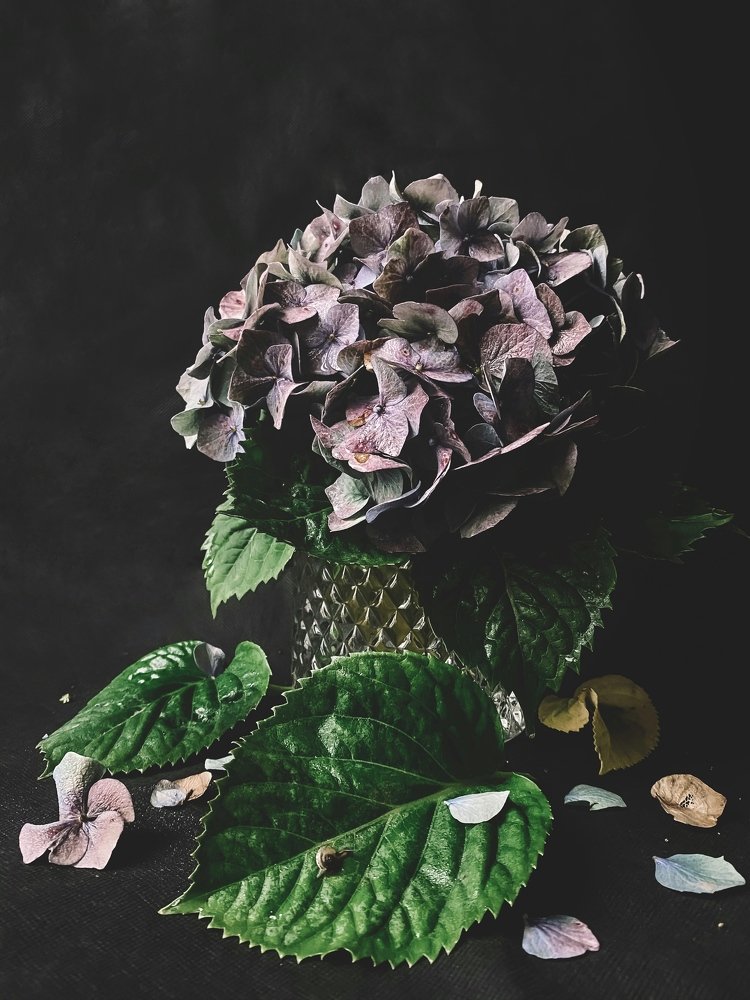 Photograph by Elsie Hagen