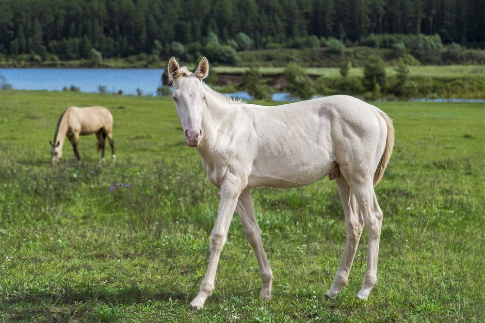 Photograph by Константин Кукушкин
