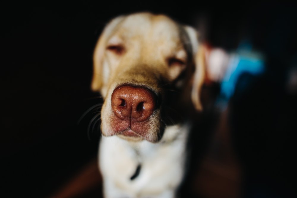 Photograph by Роберт Поляк