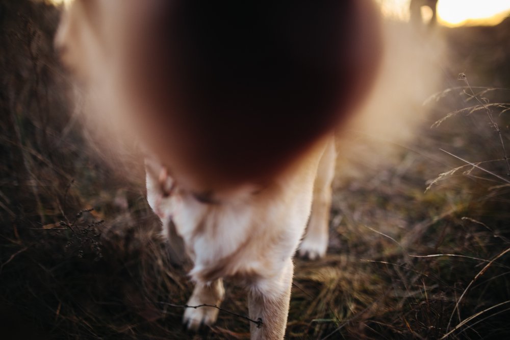 Photograph by Роберт Поляк