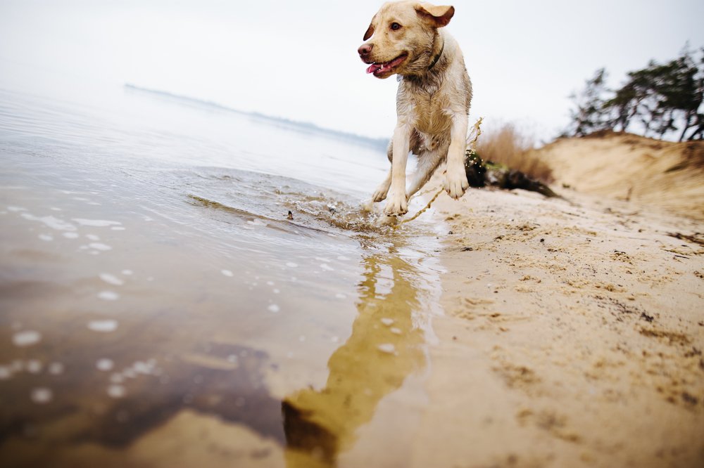 Photograph by Роберт Поляк