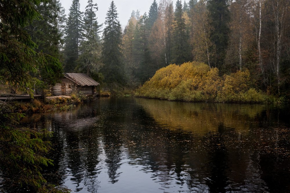 Photograph by Ирина Моросеева