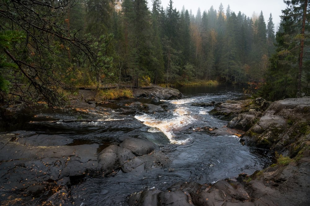 Photograph by Ирина Моросеева