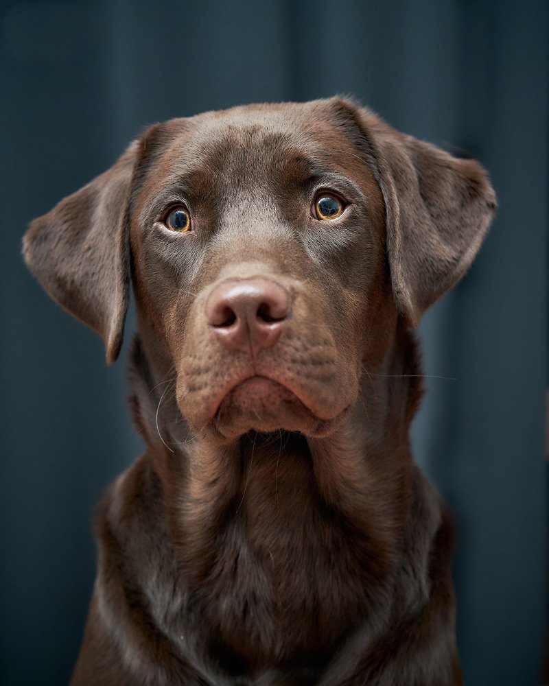 Photograph by German Dario Escobar Alvarez