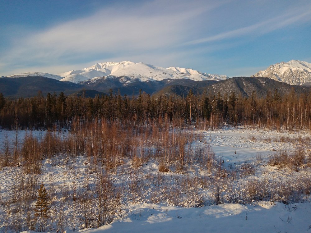 Земля Сибирская