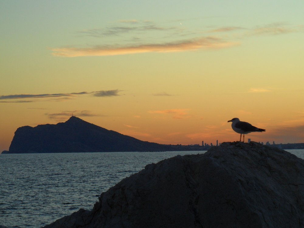Photograph by Georgy