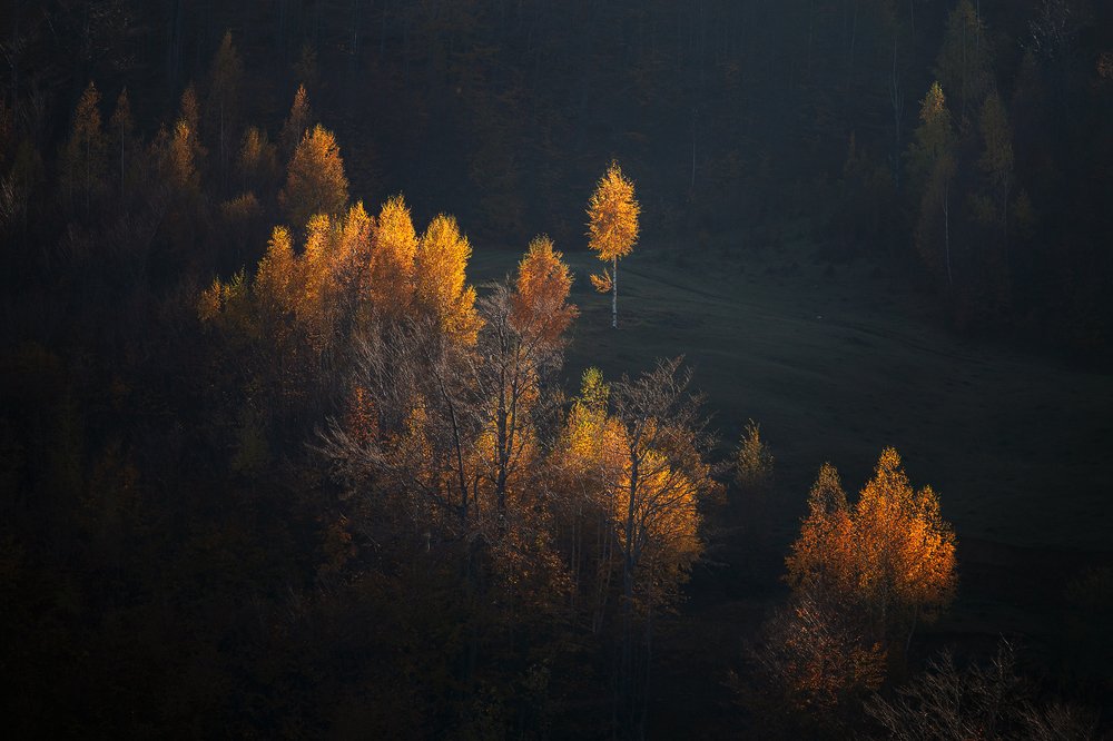 Photograph by Alex Coman