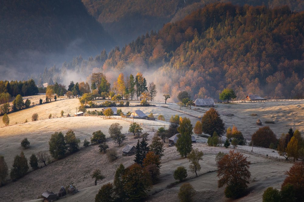 Photograph by Alex Coman