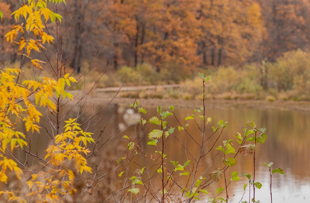 Photograph by Виктория Копытова