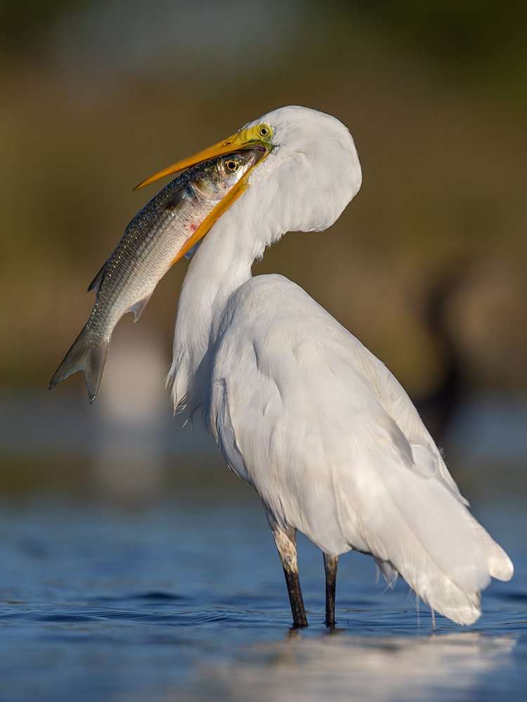 Photograph by Andrés Ruggeri