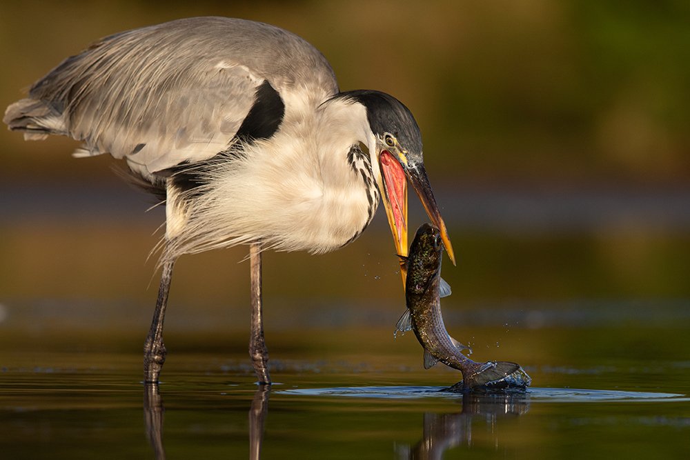 Photograph by Andrés Ruggeri