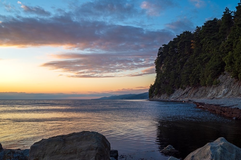 Фотография автора Алексей Рыльский